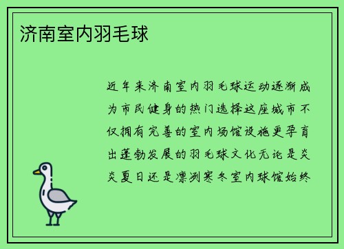 济南室内羽毛球