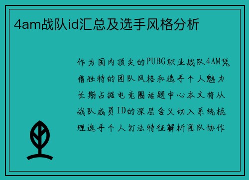 4am战队id汇总及选手风格分析